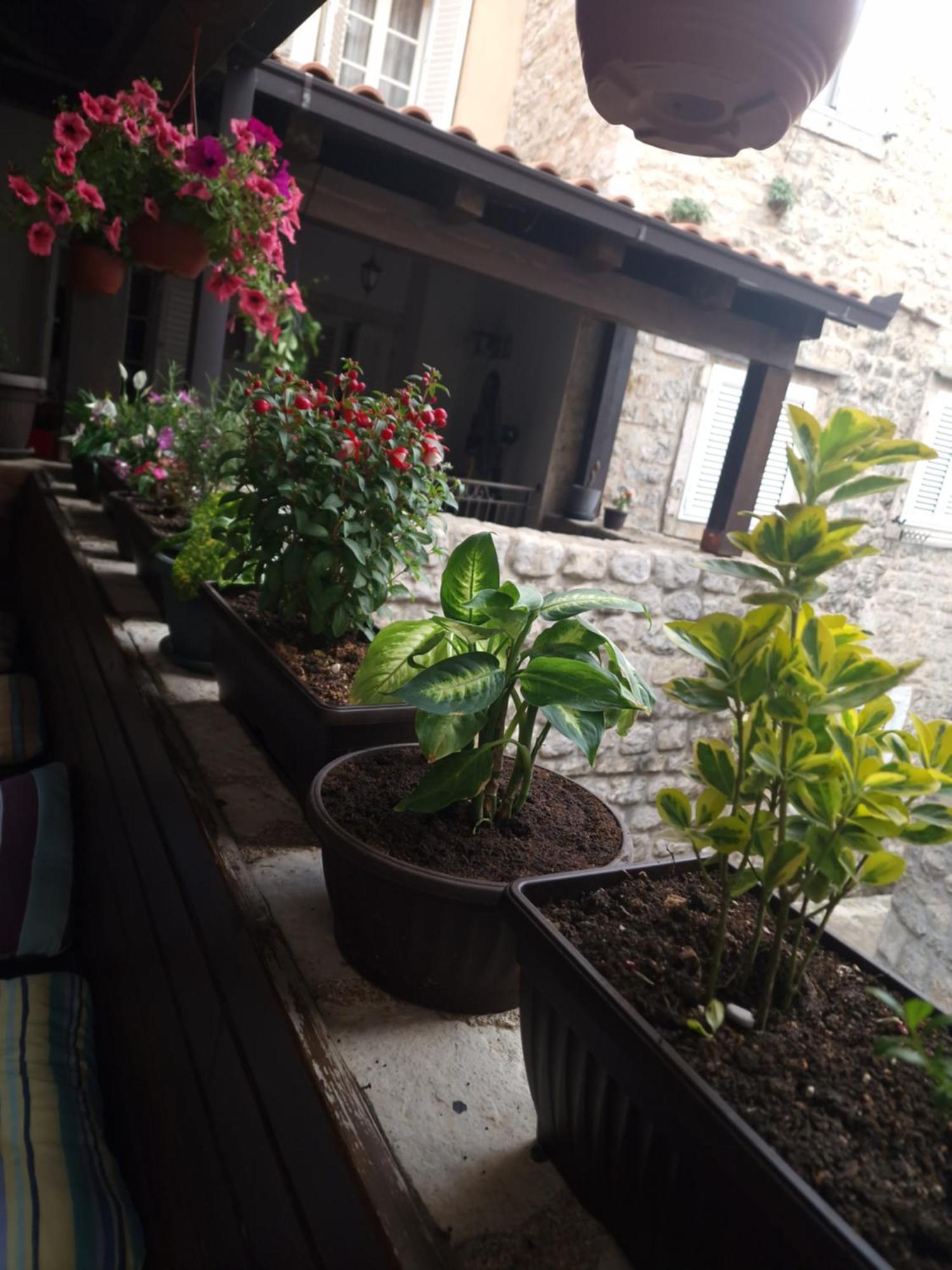 Rooms Dana Old Town บุดวา ภายนอก รูปภาพ
